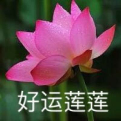 战娘联盟官方版apk下载